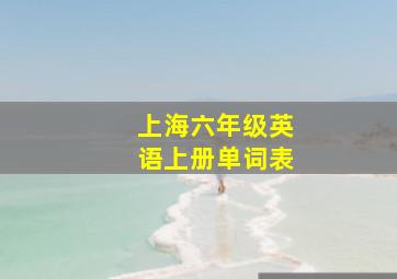 上海六年级英语上册单词表