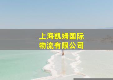 上海凯姆国际物流有限公司