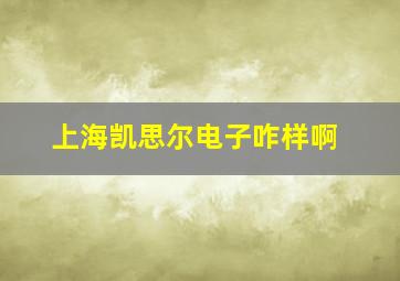 上海凯思尔电子咋样啊