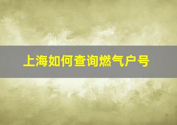 上海如何查询燃气户号