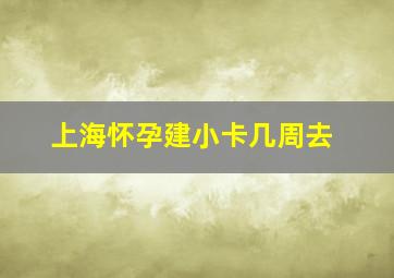 上海怀孕建小卡几周去