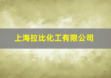 上海拉比化工有限公司