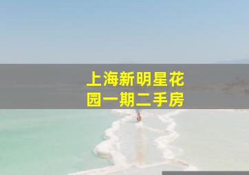 上海新明星花园一期二手房