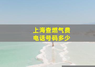 上海查燃气费电话号码多少