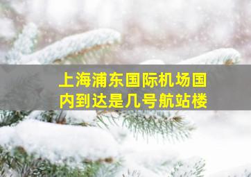 上海浦东国际机场国内到达是几号航站楼