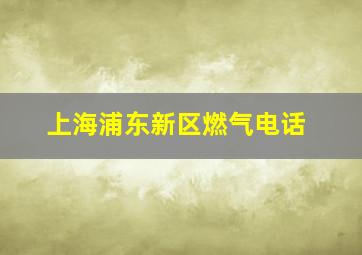 上海浦东新区燃气电话