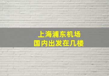 上海浦东机场国内出发在几楼