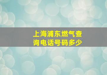 上海浦东燃气查询电话号码多少