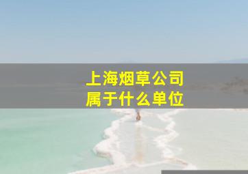 上海烟草公司属于什么单位