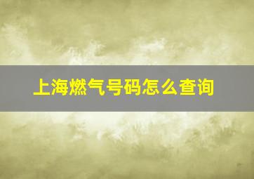 上海燃气号码怎么查询