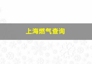 上海燃气查询