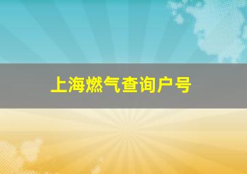 上海燃气查询户号