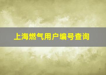 上海燃气用户编号查询