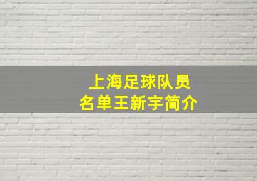 上海足球队员名单王新宇简介