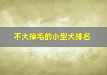 不大掉毛的小型犬排名