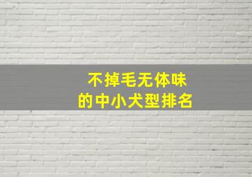 不掉毛无体味的中小犬型排名