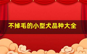 不掉毛的小型犬品种大全