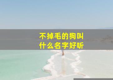 不掉毛的狗叫什么名字好听