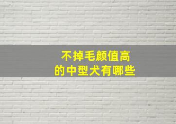 不掉毛颜值高的中型犬有哪些