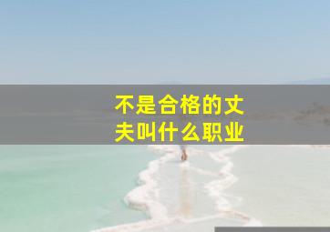 不是合格的丈夫叫什么职业