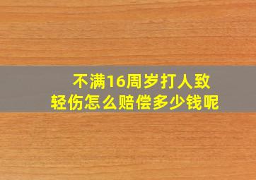 不满16周岁打人致轻伤怎么赔偿多少钱呢