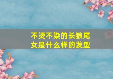 不烫不染的长狼尾女是什么样的发型