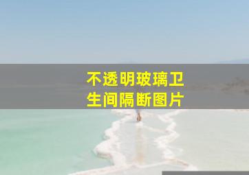 不透明玻璃卫生间隔断图片