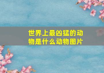 世界上最凶猛的动物是什么动物图片