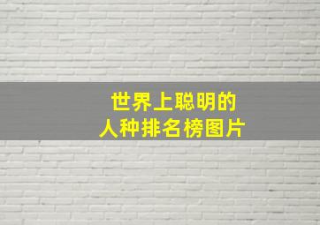 世界上聪明的人种排名榜图片