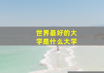 世界最好的大学是什么大学