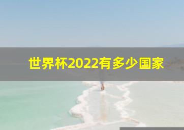 世界杯2022有多少国家