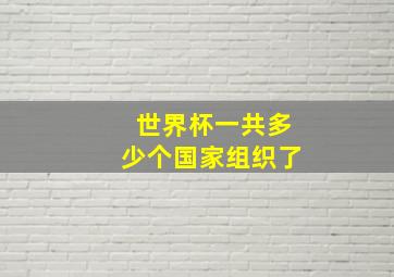 世界杯一共多少个国家组织了