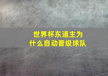 世界杯东道主为什么自动晋级球队