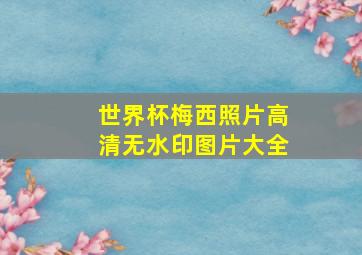 世界杯梅西照片高清无水印图片大全