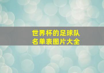 世界杯的足球队名单表图片大全