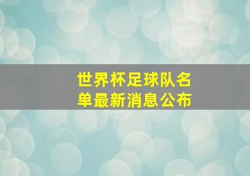 世界杯足球队名单最新消息公布