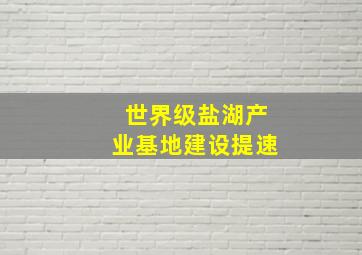 世界级盐湖产业基地建设提速