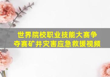 世界院校职业技能大赛争夺赛矿井灾害应急救援视频