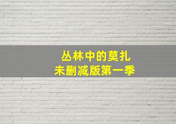 丛林中的莫扎未删减版第一季