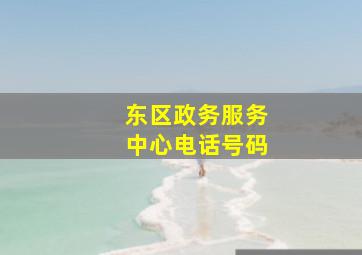 东区政务服务中心电话号码