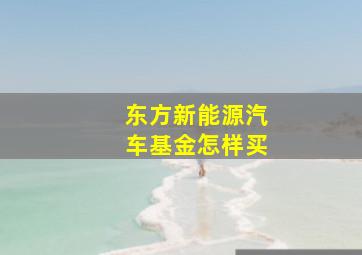 东方新能源汽车基金怎样买