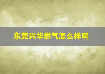 东莞兴华燃气怎么样啊