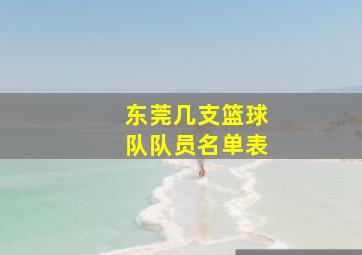 东莞几支篮球队队员名单表