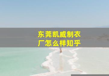 东莞凯威制衣厂怎么样知乎