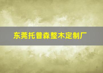 东莞托普森整木定制厂