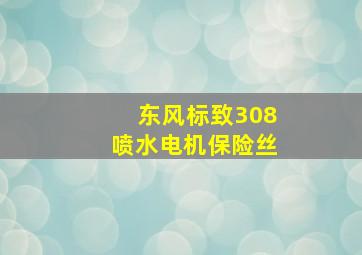 东风标致308喷水电机保险丝