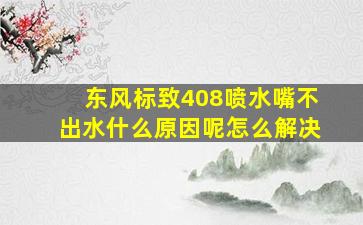 东风标致408喷水嘴不出水什么原因呢怎么解决