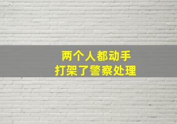 两个人都动手打架了警察处理