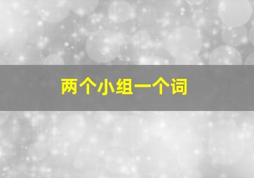 两个小组一个词