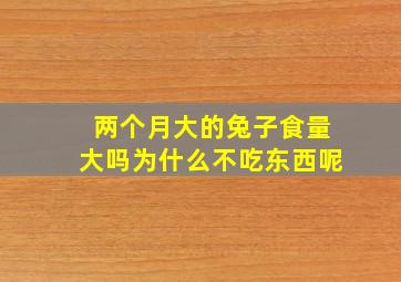 两个月大的兔子食量大吗为什么不吃东西呢